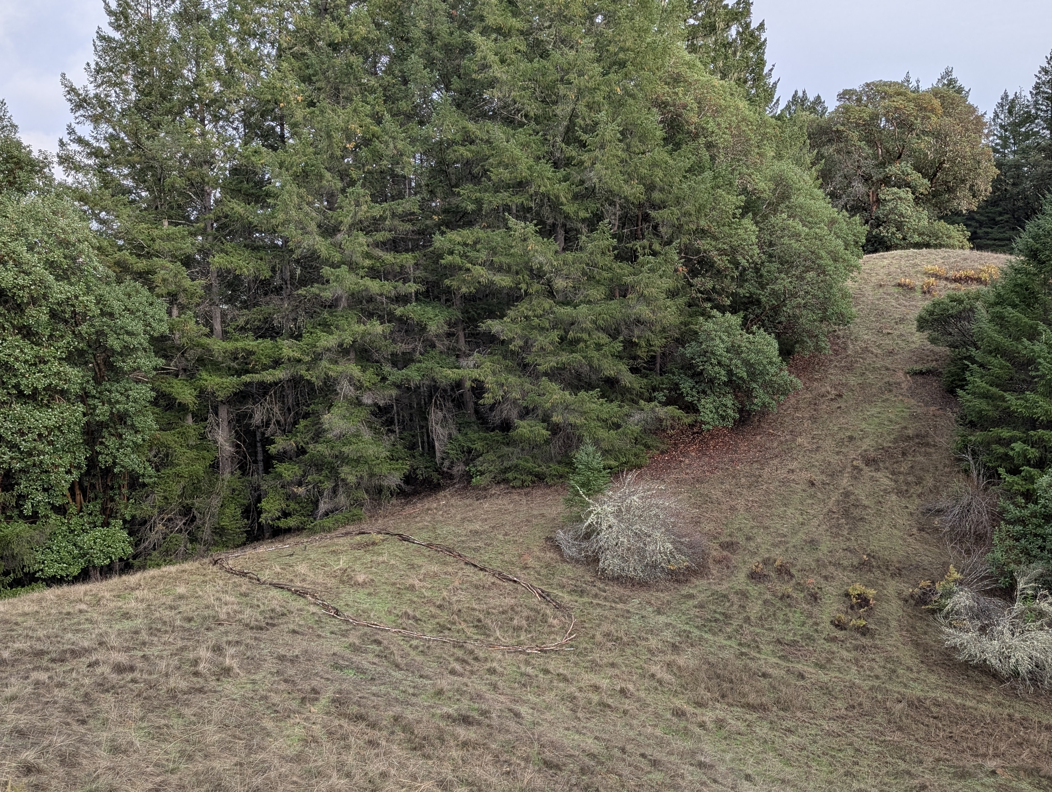 Hillside trails carved through vegetation