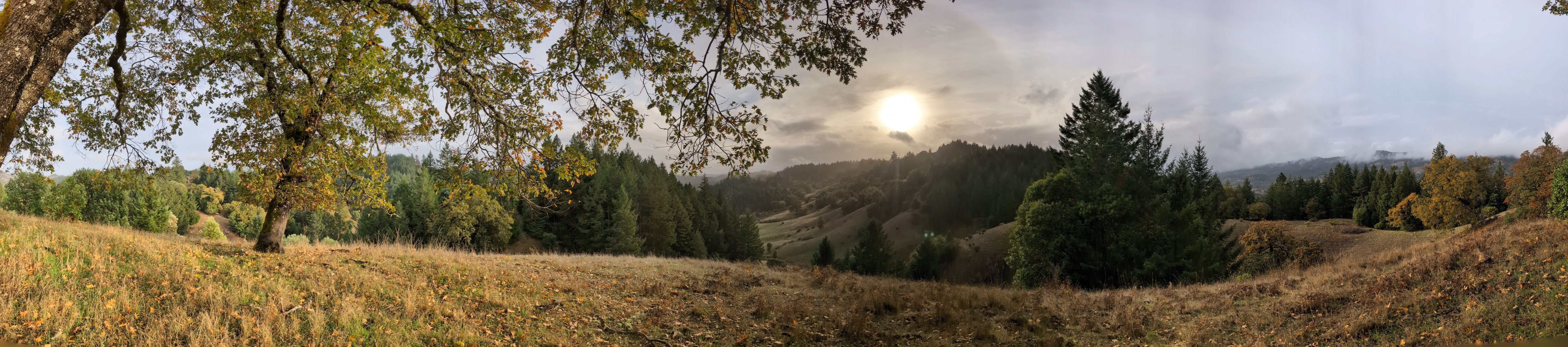 Panoramic view of the landscape